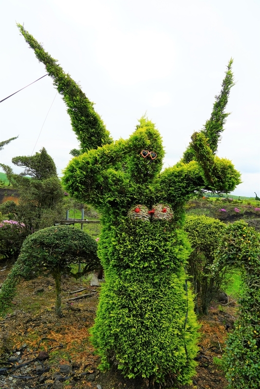 f:id:GSX-R1000:20190607201506j:plain