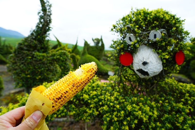 f:id:GSX-R1000:20190607201516j:plain