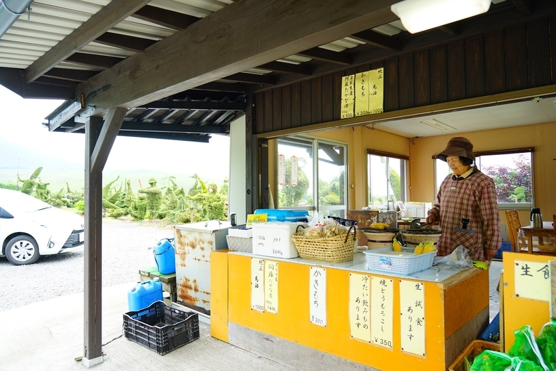 f:id:GSX-R1000:20190607201648j:plain