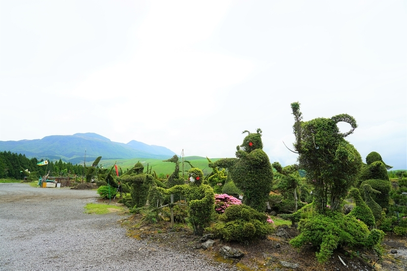 f:id:GSX-R1000:20190607201653j:plain