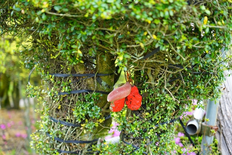 f:id:GSX-R1000:20190607201700j:plain