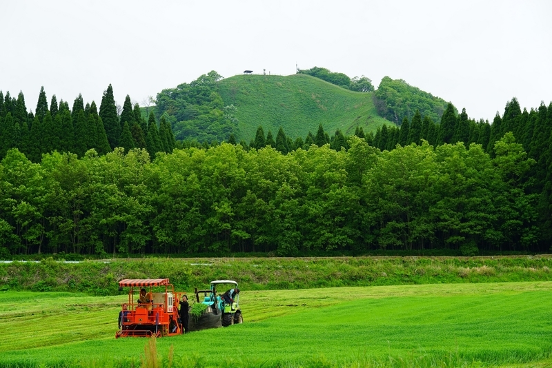 f:id:GSX-R1000:20190607203807j:plain