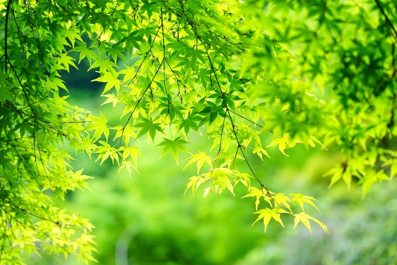 f:id:GSX-R1000:20190607205130j:plain