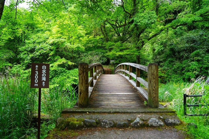 f:id:GSX-R1000:20190607205134j:plain