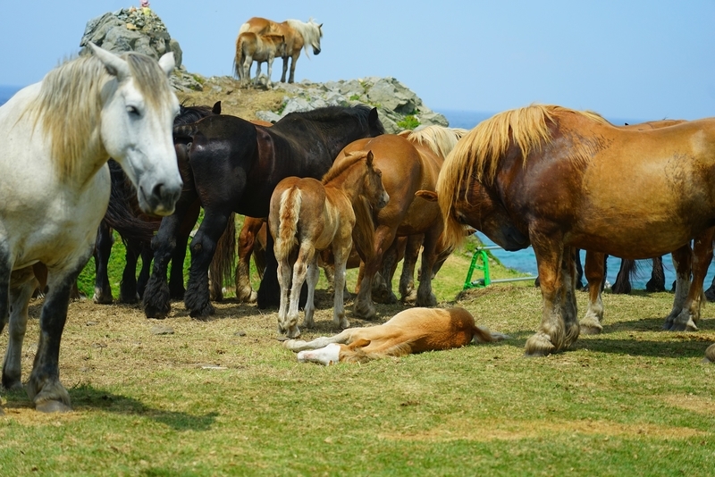 f:id:GSX-R1000:20190806212326j:plain f:id:GSX-R1000:20190806212326j:plain