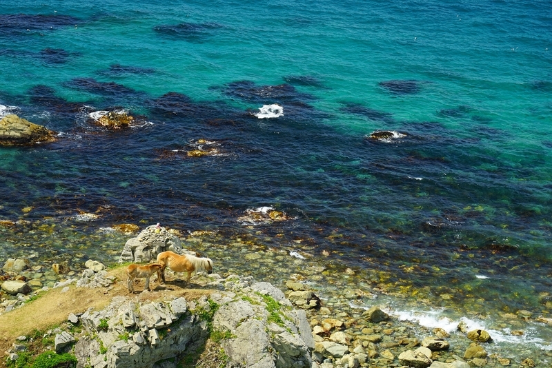 f:id:GSX-R1000:20190806212747j:plain f:id:GSX-R1000:20190806212747j:plain