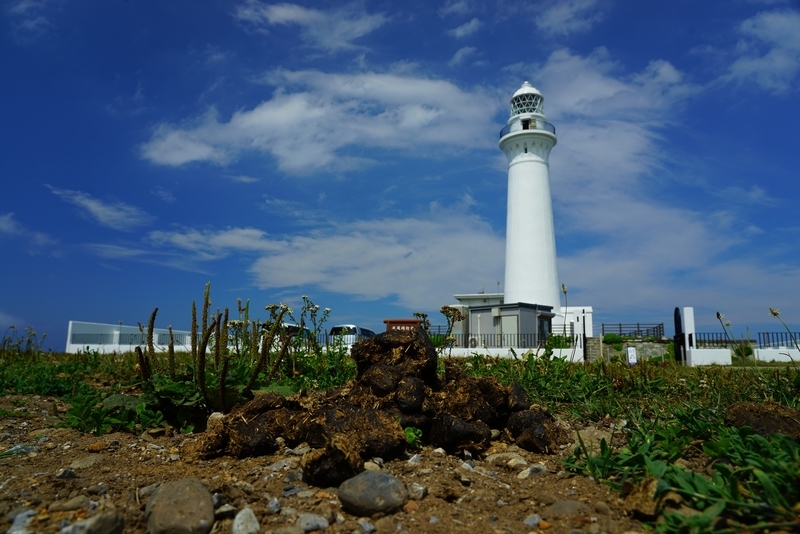 f:id:GSX-R1000:20190806213935j:plain f:id:GSX-R1000:20190806213935j:plain