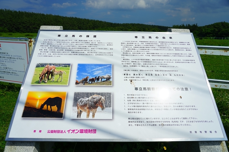 f:id:GSX-R1000:20190806214049j:plain f:id:GSX-R1000:20190806214049j:plain