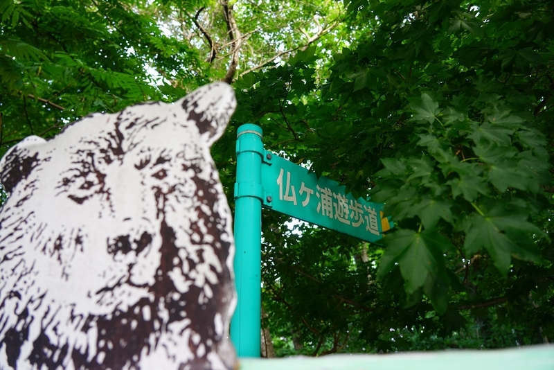 f:id:GSX-R1000:20190812210939j:plain