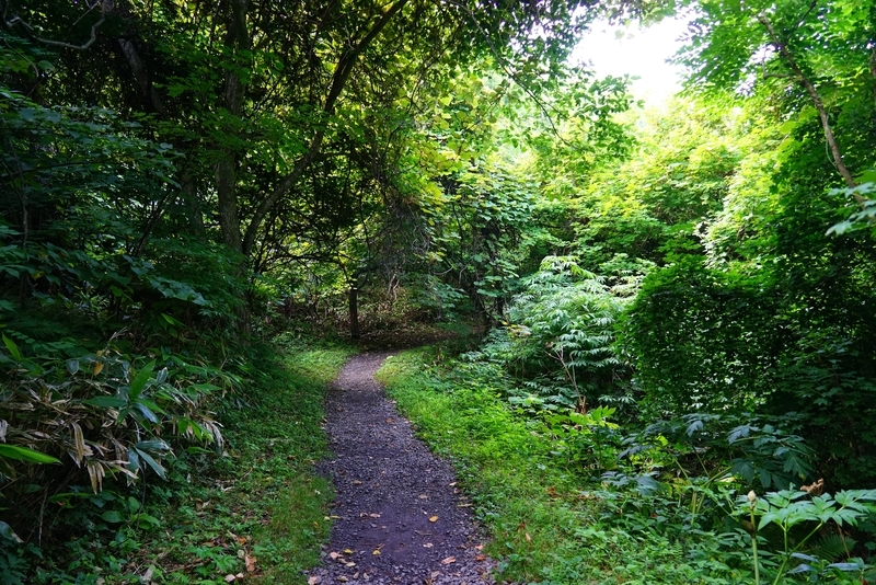 f:id:GSX-R1000:20190812211003j:plain