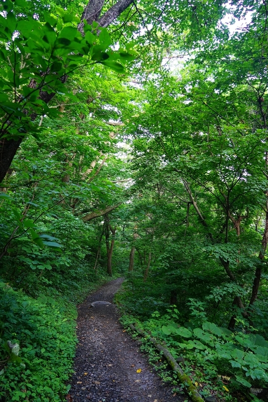 f:id:GSX-R1000:20190812211027j:plain