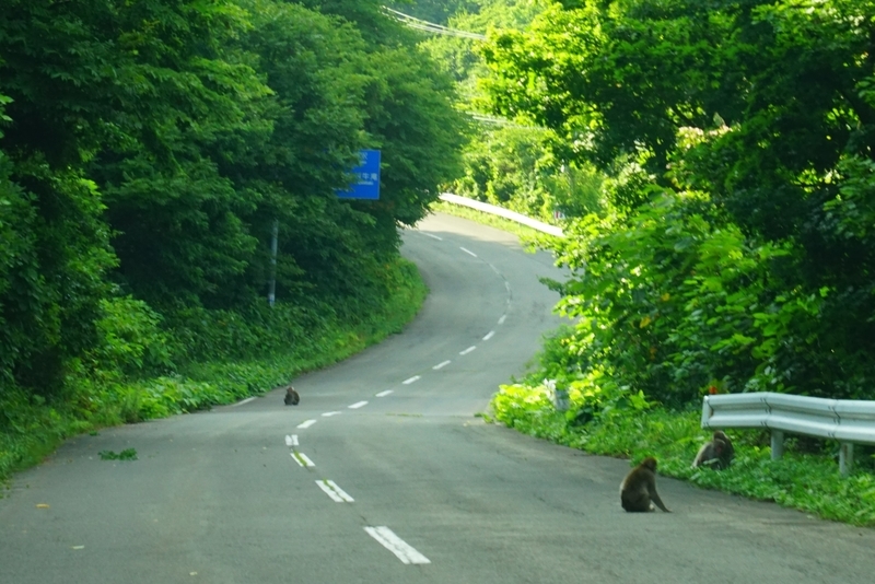 f:id:GSX-R1000:20190812212606j:plain