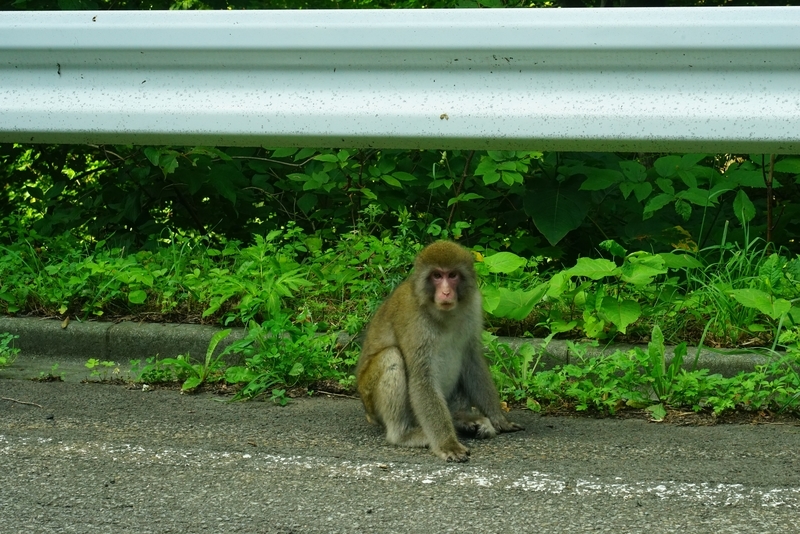 f:id:GSX-R1000:20190812212630j:plain