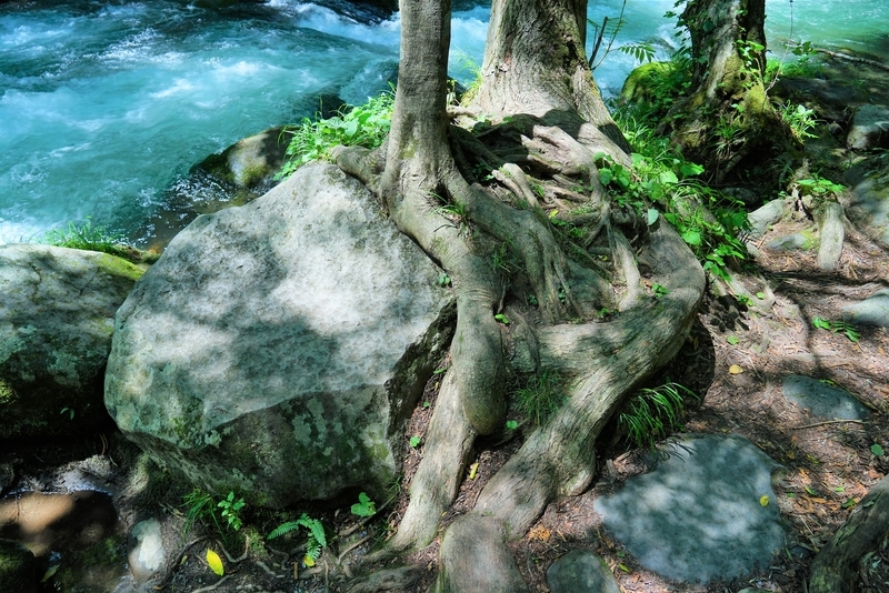 f:id:GSX-R1000:20190812213424j:plain