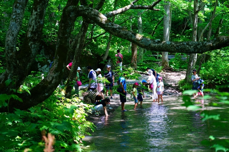 f:id:GSX-R1000:20190812213553j:plain