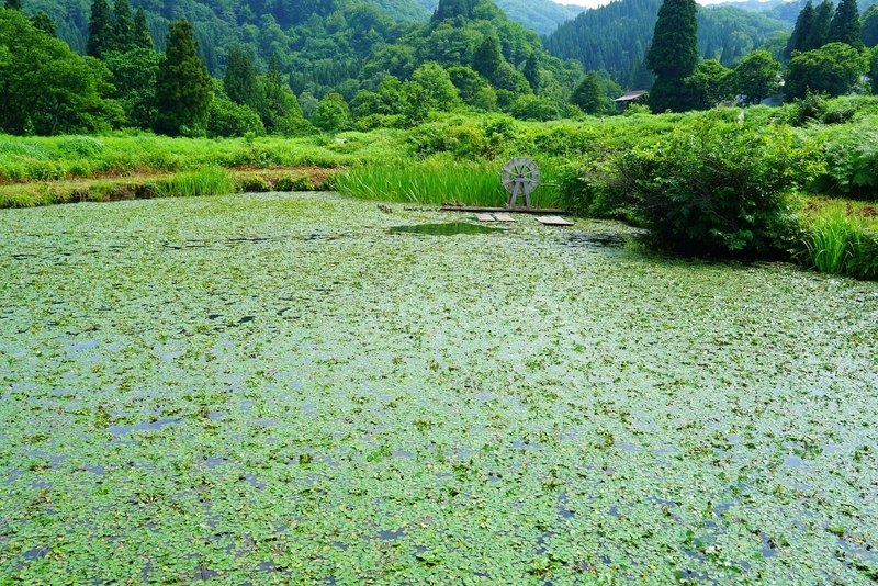 f:id:GSX-R1000:20190814193907j:plain