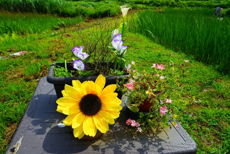 f:id:GSX-R1000:20190814193920j:plain