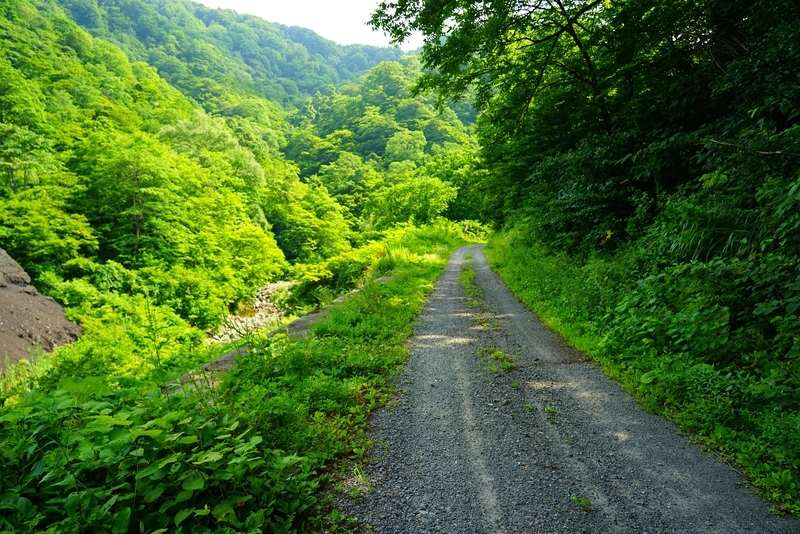 f:id:GSX-R1000:20190814194056j:plain