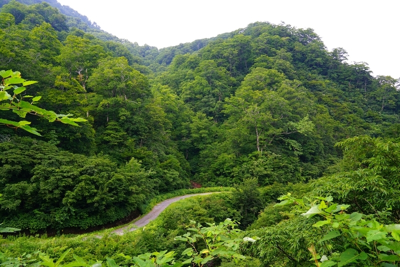 f:id:GSX-R1000:20190814194224j:plain