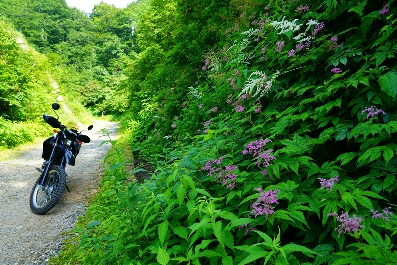 f:id:GSX-R1000:20190814194624j:plain