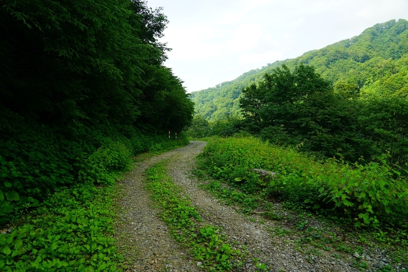 f:id:GSX-R1000:20190814194701j:plain