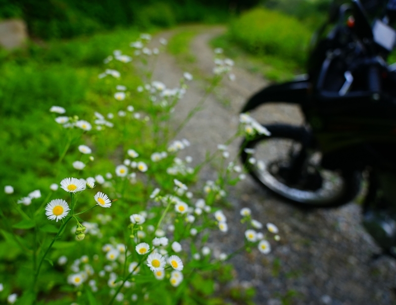 f:id:GSX-R1000:20190814194736j:plain