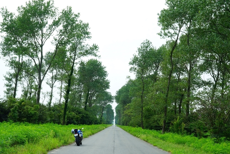 f:id:GSX-R1000:20190829160925j:plain