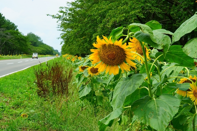 f:id:GSX-R1000:20190829161203j:plain