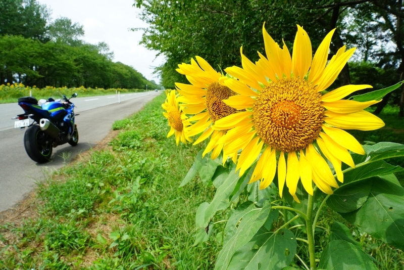 f:id:GSX-R1000:20190829161338j:plain