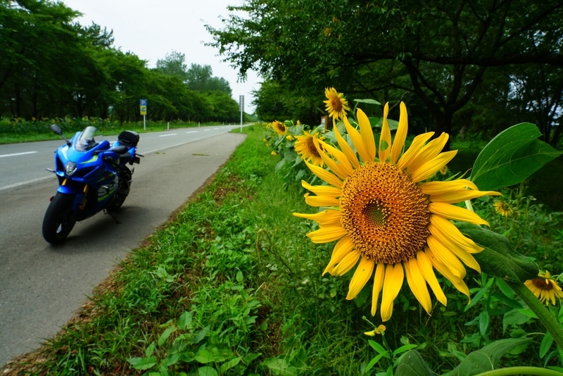 f:id:GSX-R1000:20190829161546j:plain