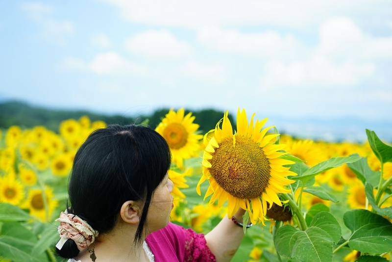 f:id:GSX-R1000:20190903201432j:plain