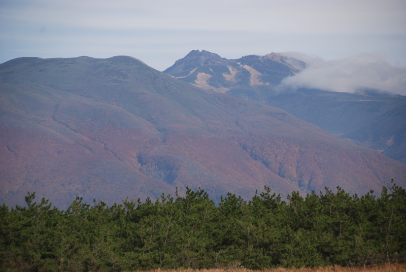 f:id:GSX-R1000:20191031124436j:plain