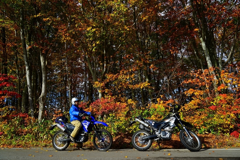 f:id:GSX-R1000:20191113185620j:plain f:id:GSX-R1000:20191113185620j:plain