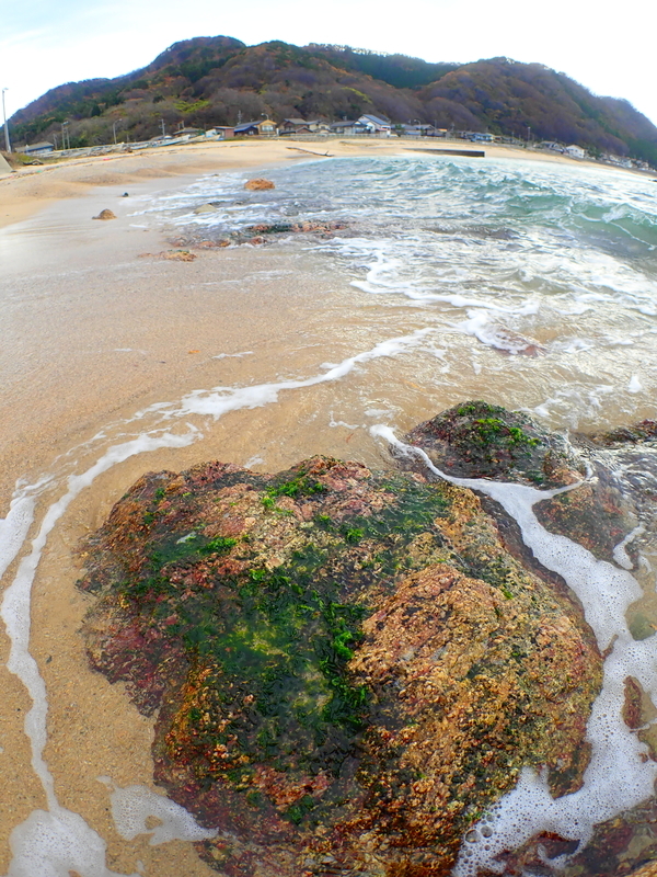 f:id:GSX-R1000:20191118163305j:plain f:id:GSX-R1000:20191118163305j:plain