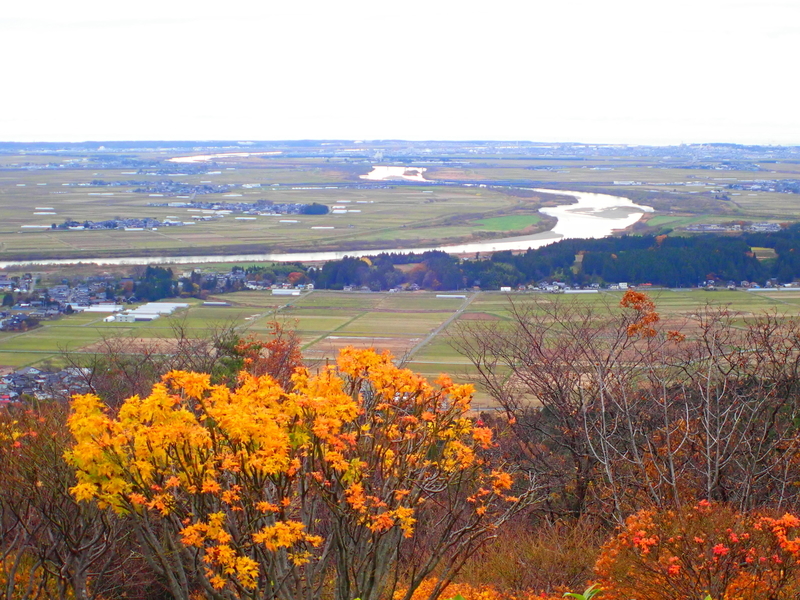 f:id:GSX-R1000:20191125101534j:plain