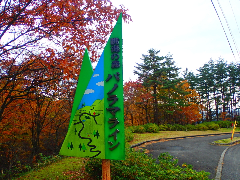 f:id:GSX-R1000:20191125101722j:plain