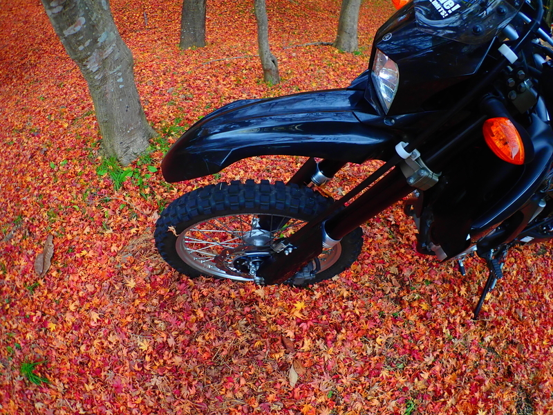 f:id:GSX-R1000:20191125101735j:plain