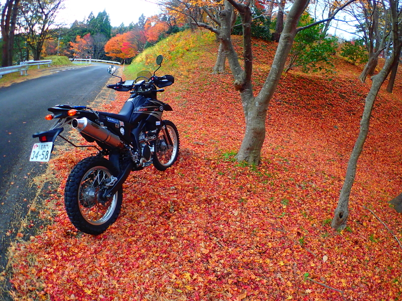 f:id:GSX-R1000:20191125101814j:plain