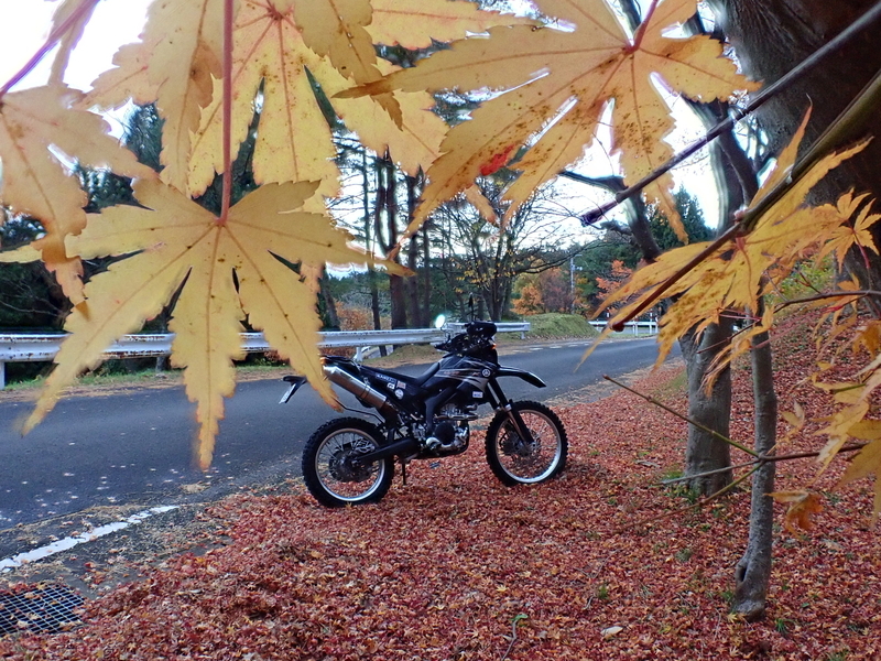 f:id:GSX-R1000:20191125101903j:plain