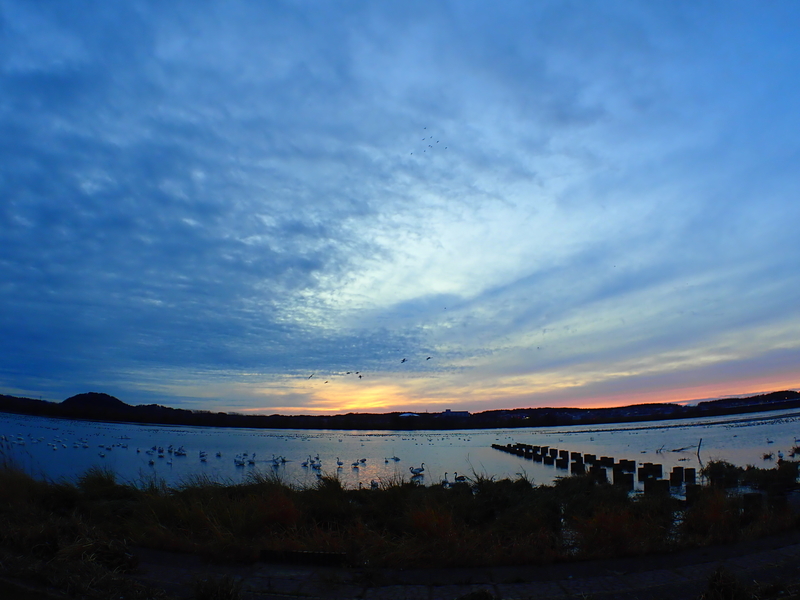 f:id:GSX-R1000:20191125101934j:plain