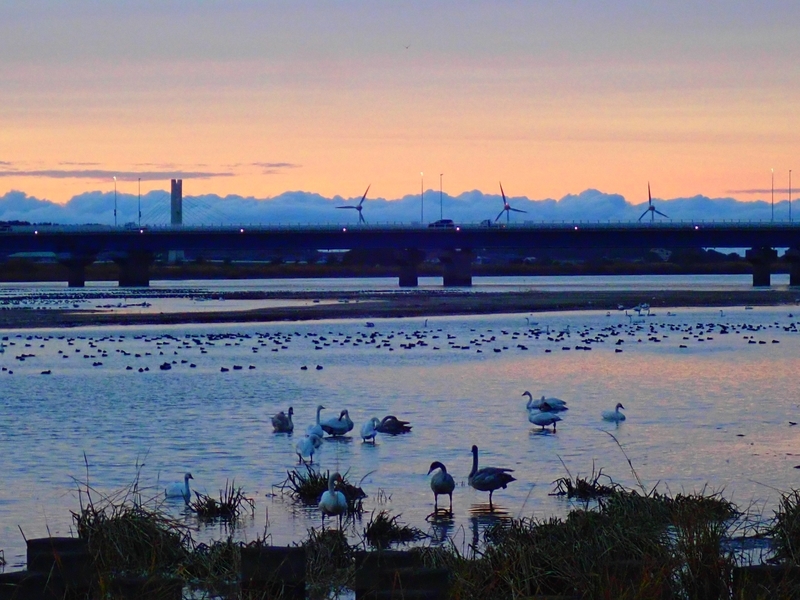 f:id:GSX-R1000:20191125102114j:plain