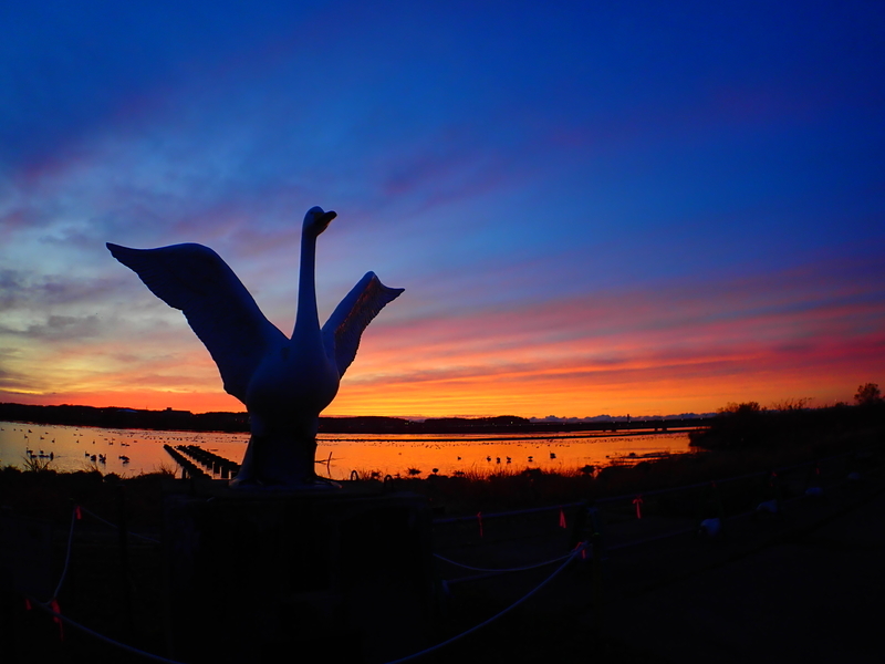 f:id:GSX-R1000:20191125102350j:plain