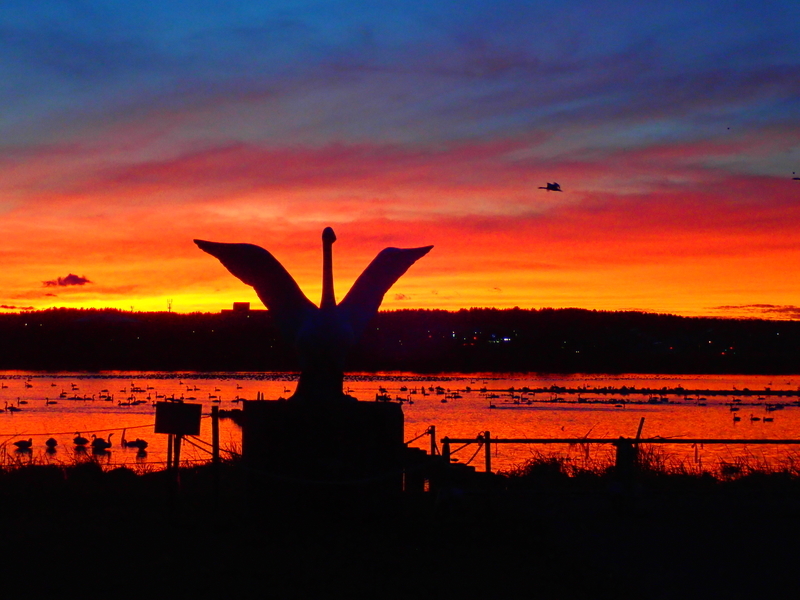 f:id:GSX-R1000:20191125103511j:plain