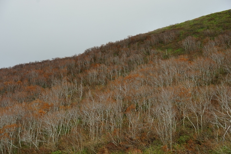 f:id:GSX-R1000:20191126195354j:plain