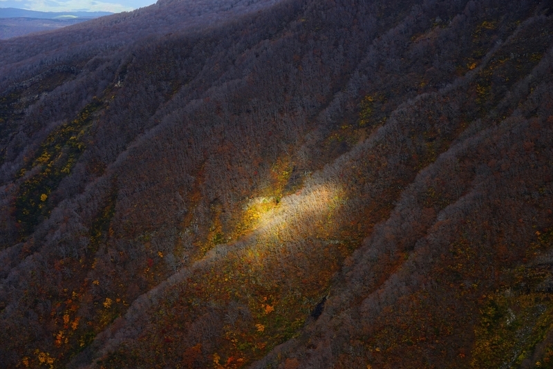 f:id:GSX-R1000:20191126195523j:plain