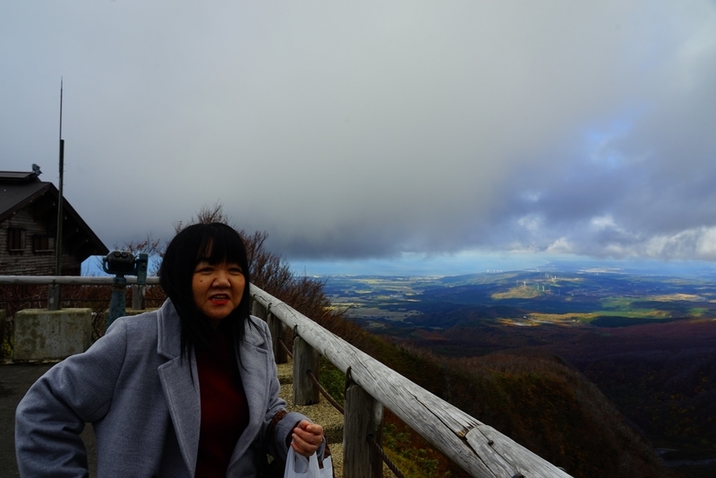 f:id:GSX-R1000:20191126195550j:plain