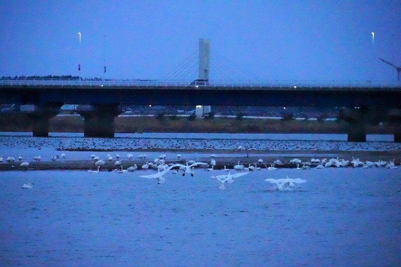 f:id:GSX-R1000:20200131113012j:plain