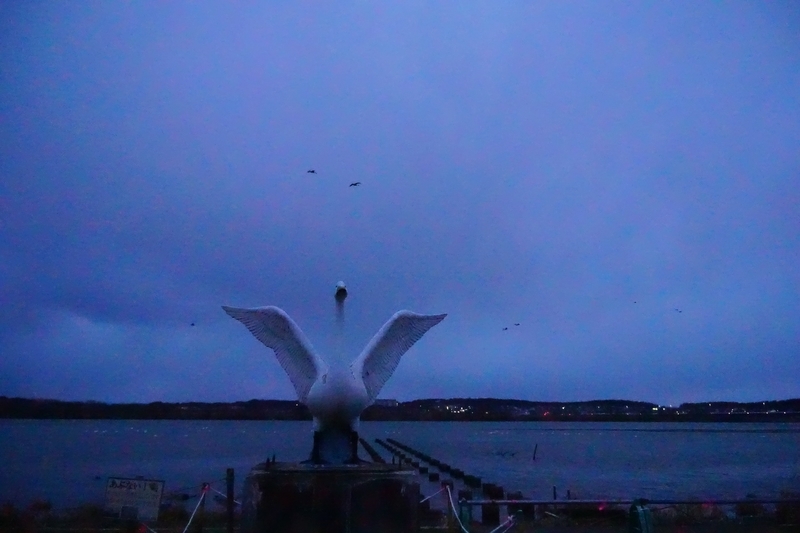 f:id:GSX-R1000:20200131113119j:plain