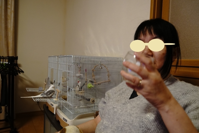 f:id:GSX-R1000:20200131113130j:plain