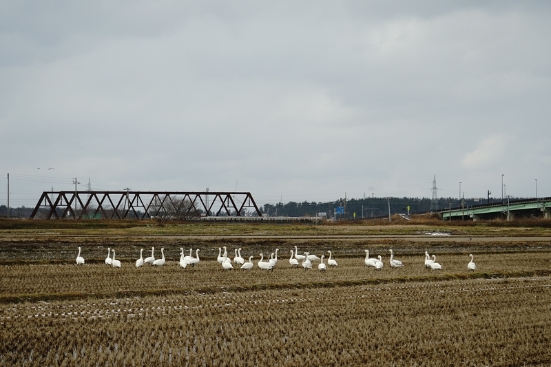 f:id:GSX-R1000:20200131113221j:plain